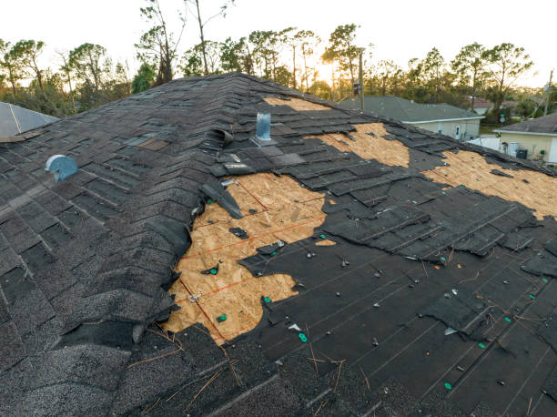 Roof Coating Services in Turtle Creek, PA
